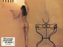 Glissements progressifs du plaisir (1974)