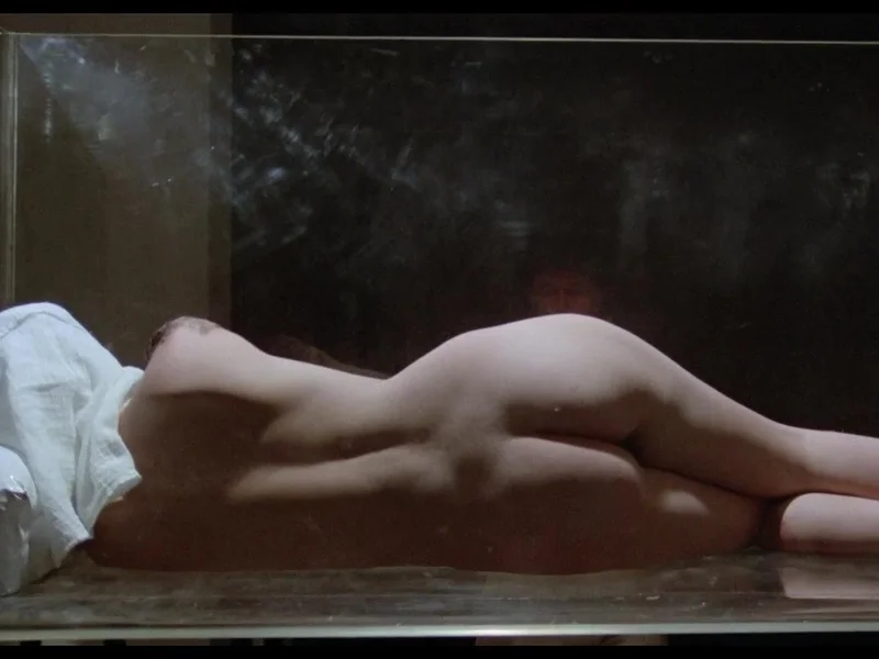 La ragazza dal pigiama giallo (1977)