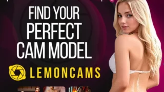 What to Expect from the Lemoncams Platform During Your First Visit?