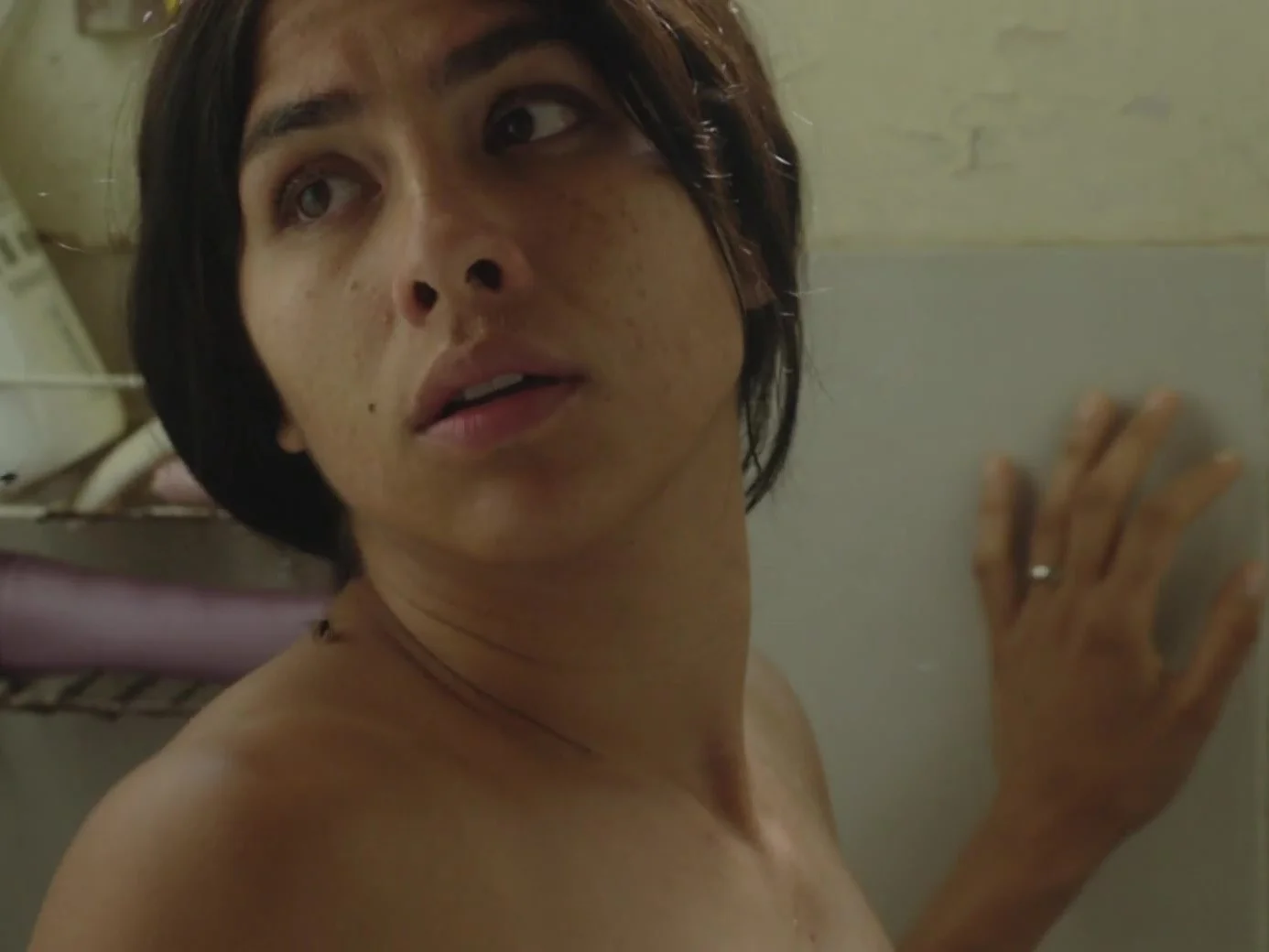 El despertar de las hormigas (2019)